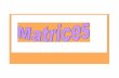 IB Maths SL Matrices