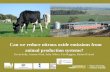 Can we reduce nitrous oxide emissions from animal production systems - Kevin Kelly
