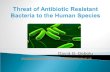 Threat of antibiotic resistant bacteria to humans