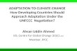 Adaptation to Climate Change: How Developing Countries Should Approach Adaptation Under the UNFCCC Negotiation?