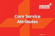 Core service attributes