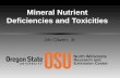 Octoberpest 06 mineral nutrient defeciencies