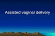 Assisted Vaginal Delivery