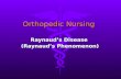 Orthopedic Nursing 2