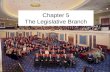 Government   ch. 5 - legislative branch