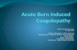 Acute burn induced coagulopathy