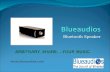 Blueaudios bluetooth speaker enjoy wireless music fun