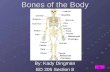 Bones Of The Body