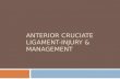 Anterior cruciate ligament-Injury & management