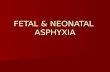45-Fetal & Neonatal Asphyxia