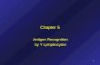 Chapter 5 Immunology