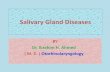 Salivary gland diseases 1