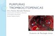 Purpuras trombocitopenicas final
