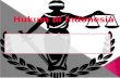 Hukum di indonesia