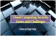 Cloud computing security issues and challenges