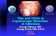 Tips and Tricks in Laparoscopic Dissection of Adhesions