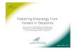 Fostering bioenergy from forests in Catalonia