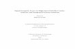 Signal Integrity-Final Thesis