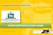 analysis of habib metropolitan bank ltd pakistan