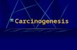 Lecture 20 Carcinogenesis