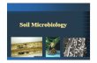 10 Soil Microbiology