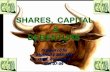 Shares, capital and debentures