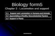 Biology Form5 - Locomotion and Support