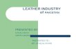 Leather Industry  4