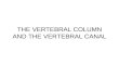 The Vertebral Column and the Vertebral Canal