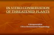IN VITRO CONSERVATION OF THREATENED PLANTS
