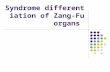 Syndrome Differentiation of Zang-Fu Organs