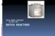 Batch Reactors