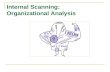 Intrernal Scanning and Organizational Analysis