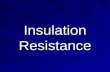 Insulation Resistance
