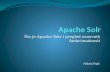 Apache solr