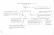 Chart:  Flowchart of Austin Police responses to 911 calls