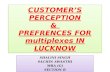Customer's Perception & Preferences for Multiplexes in Lucknow