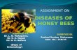 Diseases of honey bees ppt