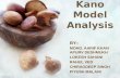 Kano Model Analysis