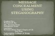 Message Concealment Using Steganography