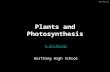9 c plants and photosynthesis (whs)