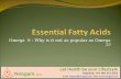 Omega – 6 Essential Fatty Acids
