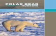 The Economics of Polar Bear Trophy Hunting in Canada