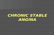 Chronic Stable Angina