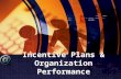 Strategic Mgt. Acc. - Incentive Plans & Organization Performance