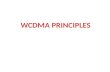 WCDMA Principles
