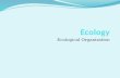 Ecology Introduction Lesson- Ecological Organization Power Point