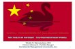 China - The Mother of All Black Swans - By Vitaliy Katsenelson