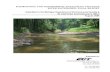Hydrologic and Geomorphologic Analyses of the Pine River Watershed in Michigan