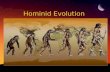 Hominid evolution